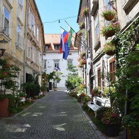 Codelli Deluxe Centre Apartment Ljubljana