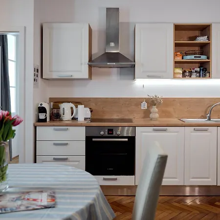 Codelli Deluxe Centre Apartmán Lublaň